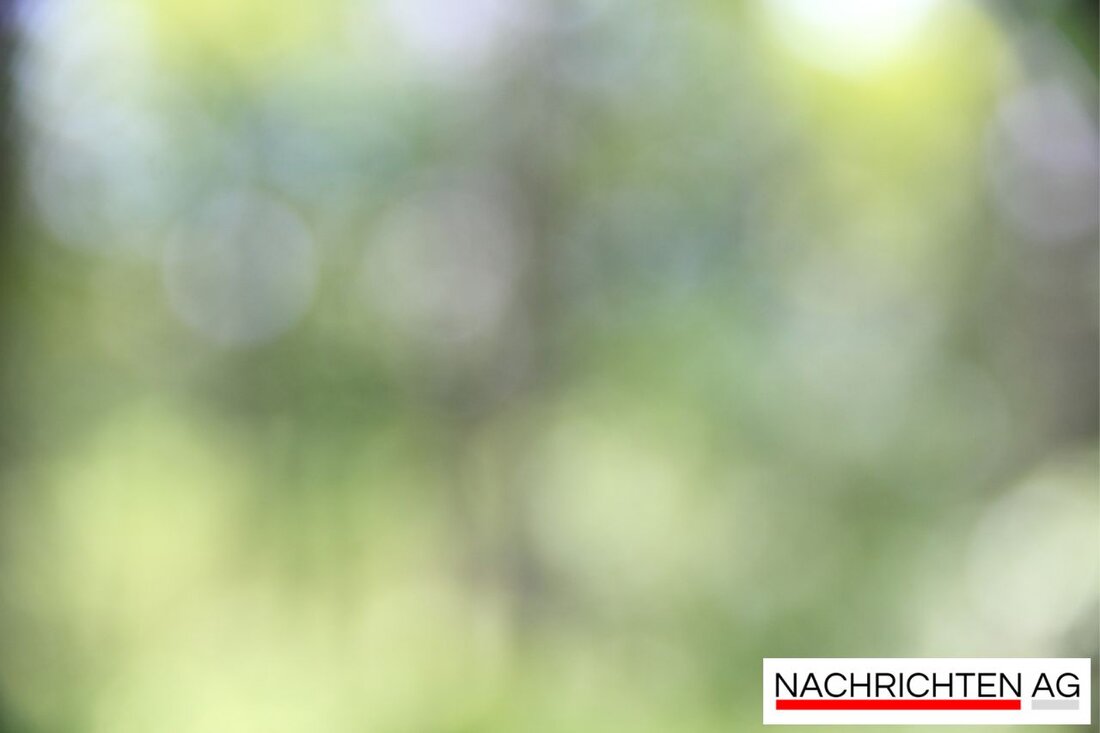 Erleben Sie das Stadtparkfest in Wiener Neustadt am 14. Juni – ein kostenloses, familienfreundliches Event mit Musik, Sport und Spaß!