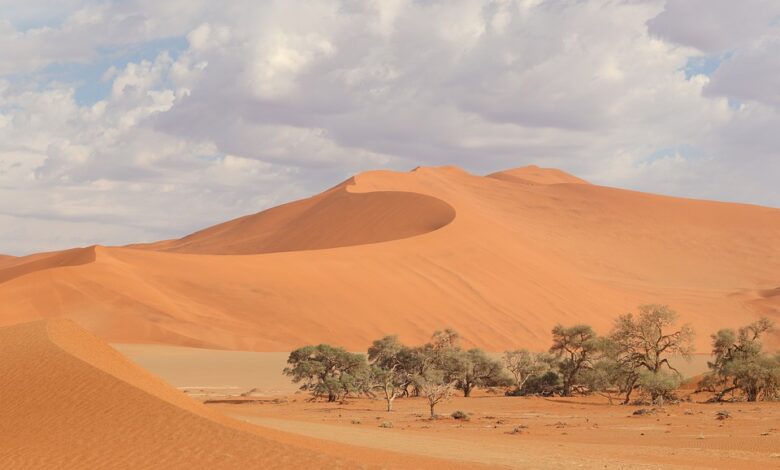 Wundersames Abenteuer in den goldenen Sanddünen von Namibia: Eine Reise ins Herz der Namib-Wüste.