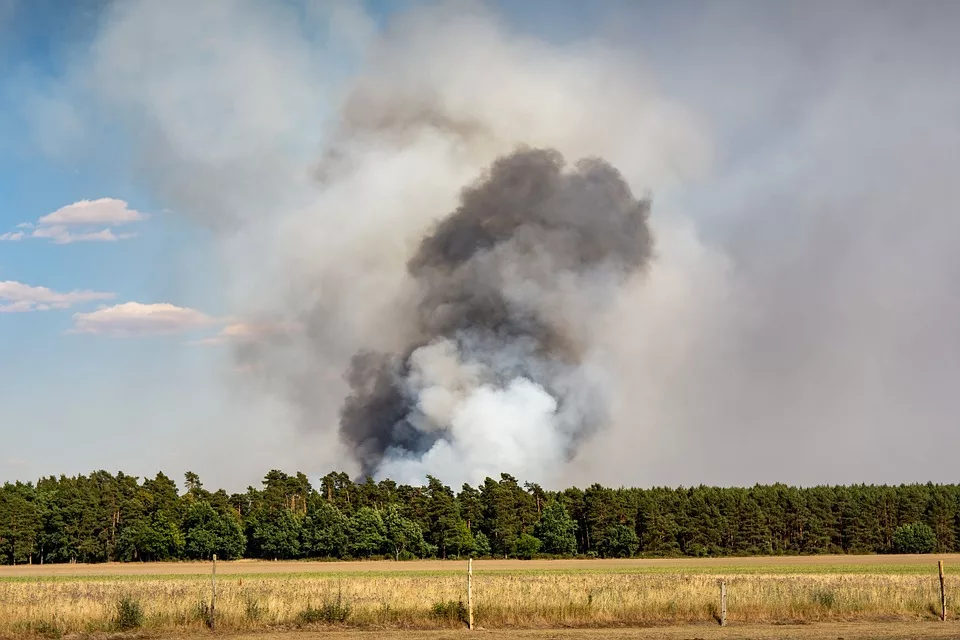 Waldbrandgefahr im Landkreis Haßberge: So bereitet sich die Feuerwehr vor