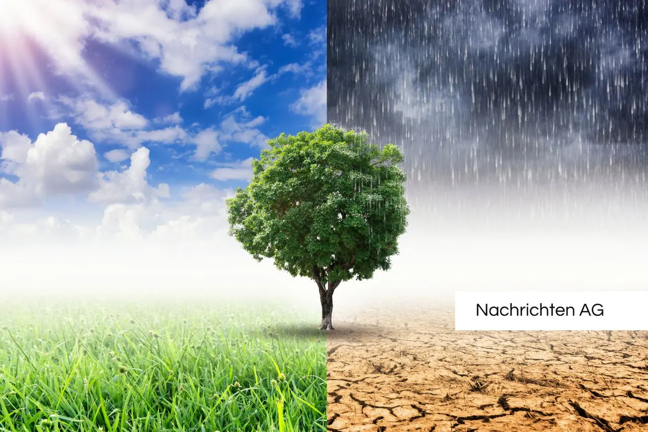 Neues Wohnen in Trier: Elf klimafreundliche Mietwohnungen entstehen!