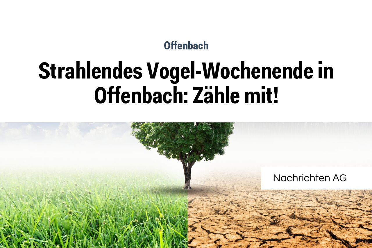 Strahlendes Vogel-Wochenende in Offenbach: Zähle mit!
